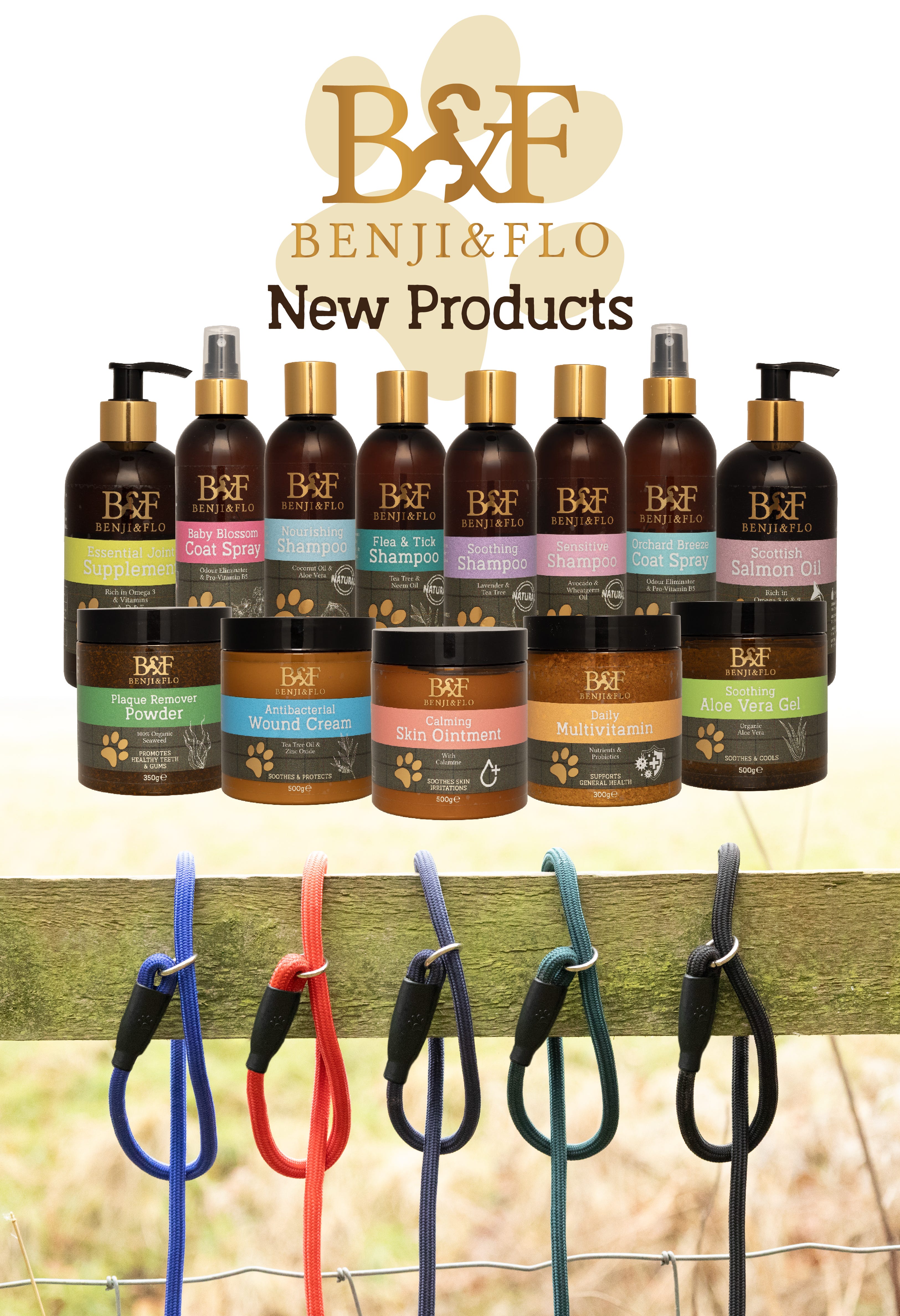 B&F - New Products?width=500
